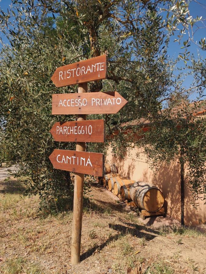 Podere Borgaruccio Peccioli Екстер'єр фото