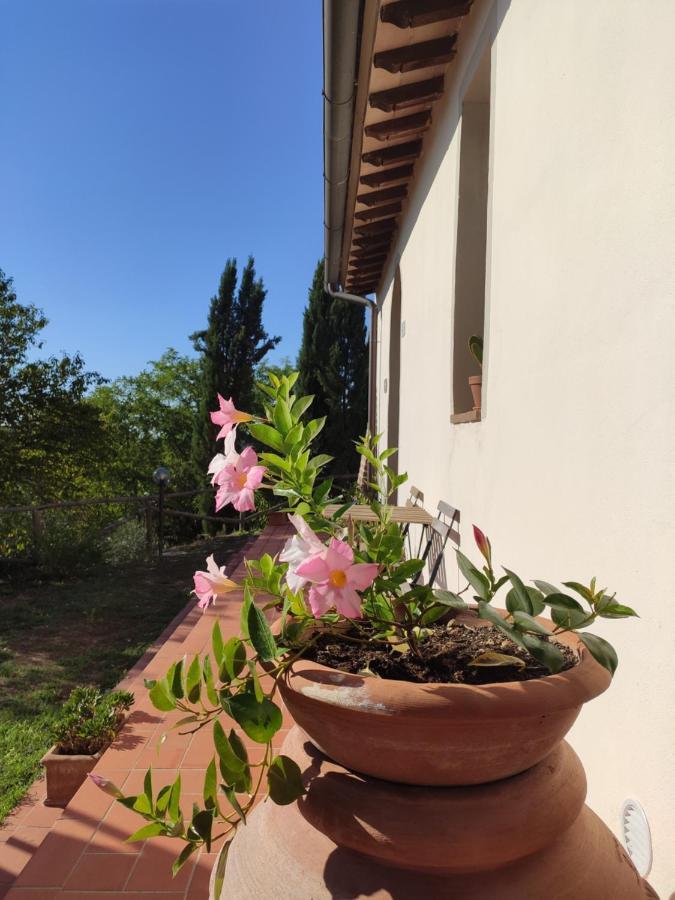 Podere Borgaruccio Peccioli Екстер'єр фото