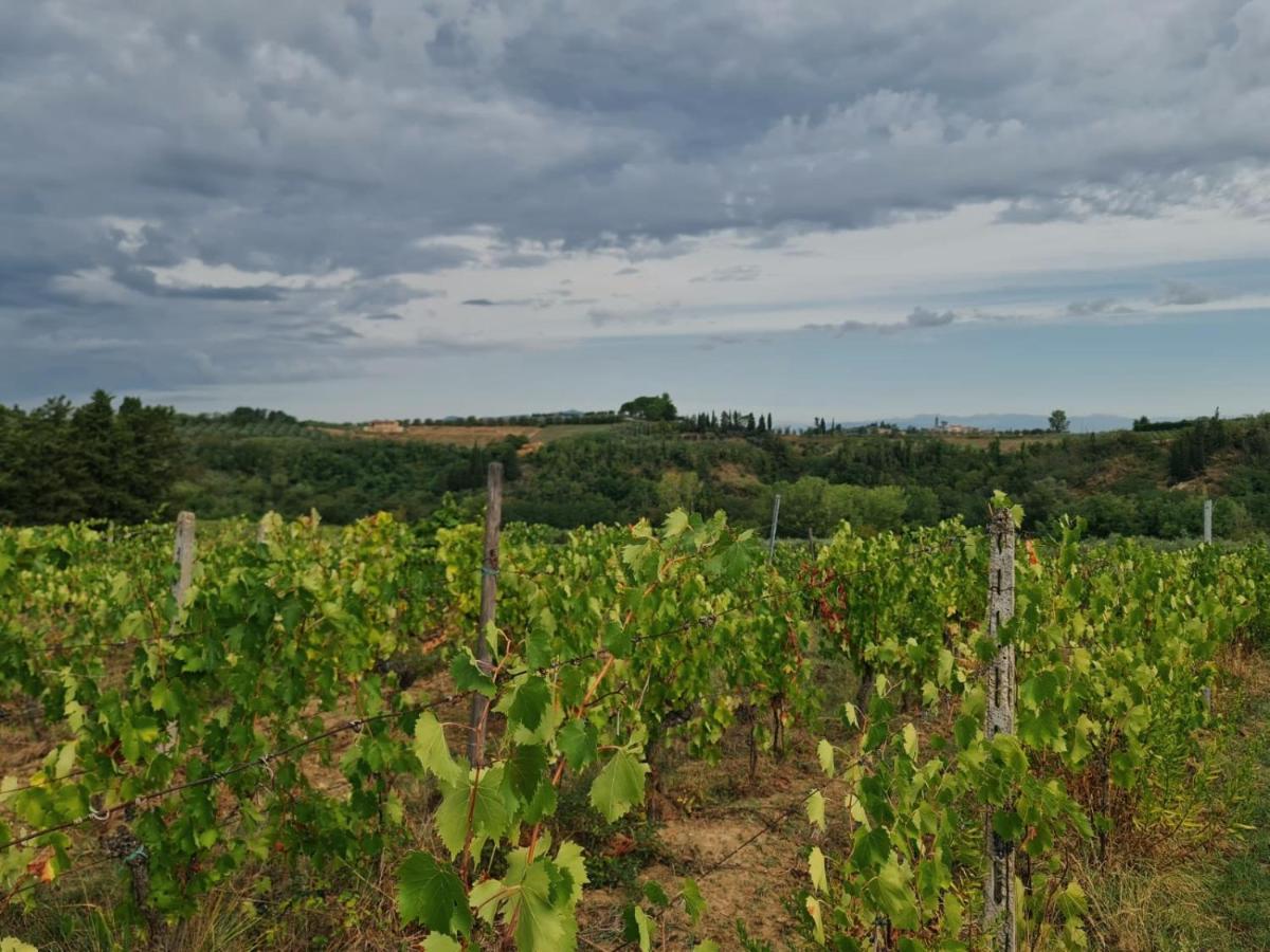 Podere Borgaruccio Peccioli Екстер'єр фото
