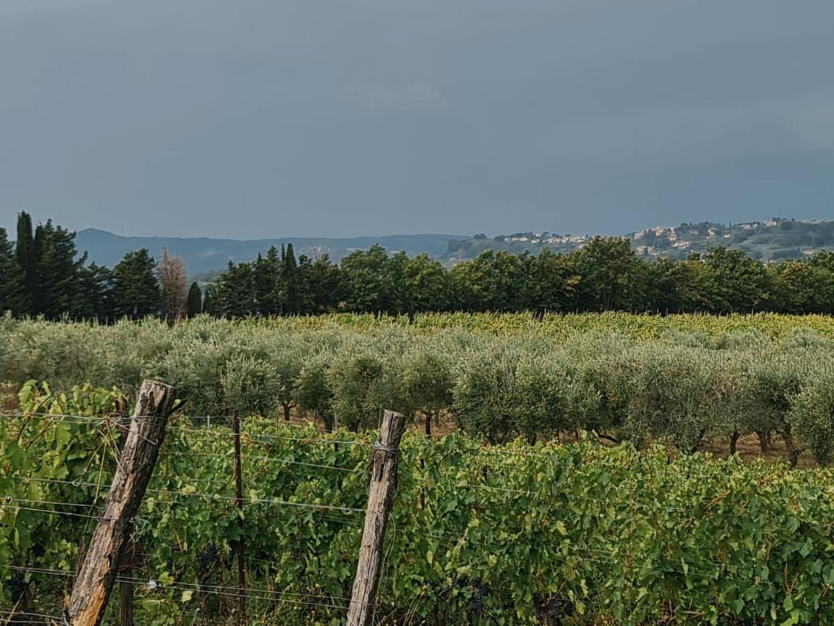Podere Borgaruccio Peccioli Екстер'єр фото