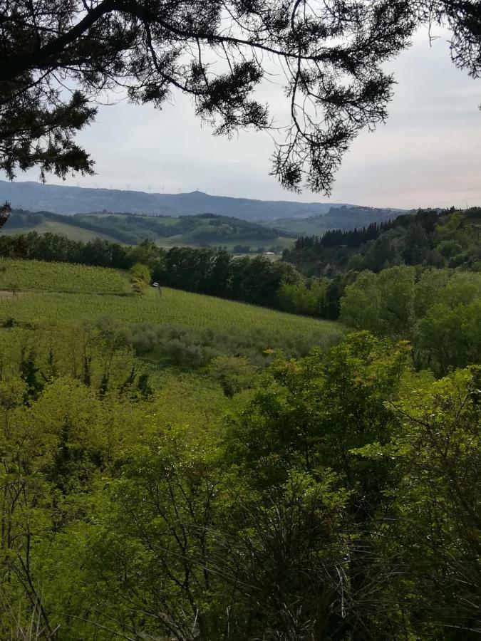 Podere Borgaruccio Peccioli Екстер'єр фото